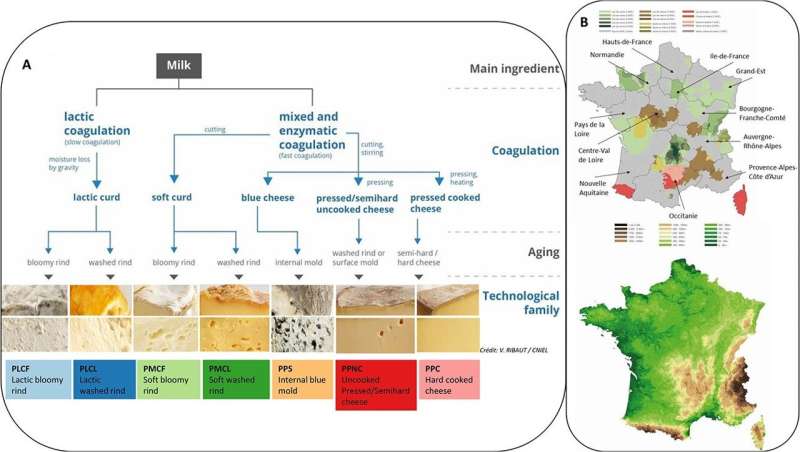 Protected Designation of Origin cheeses and milks harbor startling microbial diversity