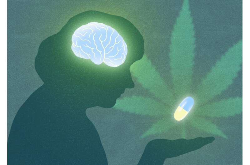 Protecting brain cells with cannabinol