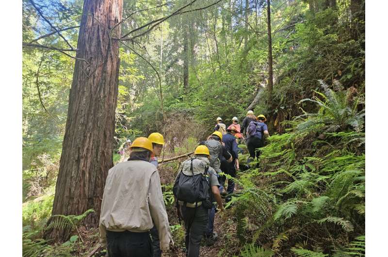 Protecting communities and watersheds through research in a redwood forest