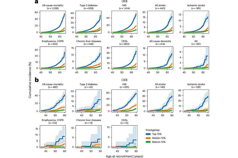 Proteins carried in the blood offer new insights into aging and age-related disease risk