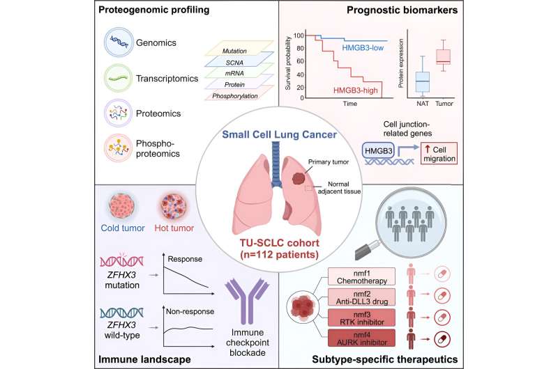 Proteogenomics reveal prognostic markers of small cell lung cancer, advance development of precision therapies