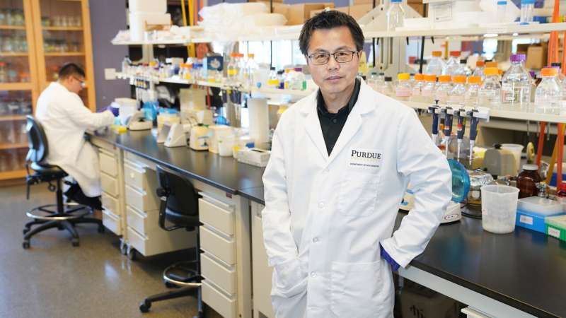Purdue researchers explore non-invasive method for sampling drug response