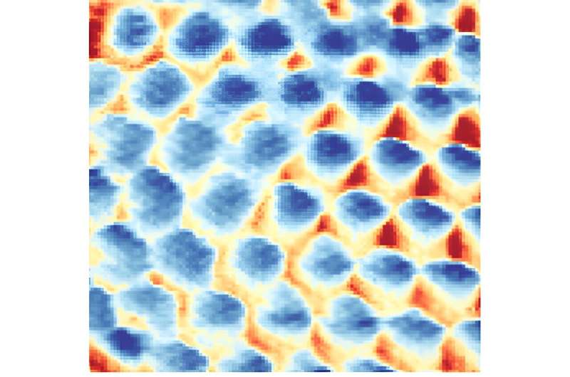 Quantum crystal of frozen electrons—the Wigner crystal—is visualized for the first time