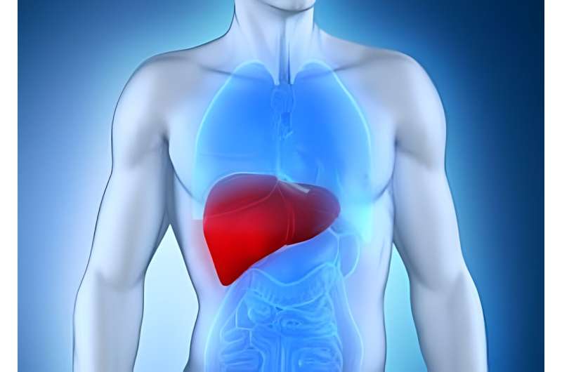 Raça e etnia desempenham papel na sobrevivência do transplante de fígado