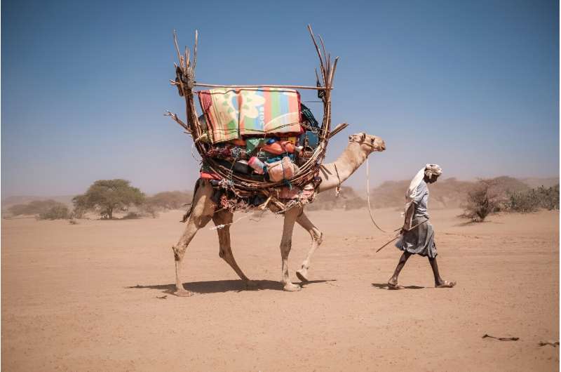 Weidegebiete wie Wüsten, Tundra und Savanne sind viel stärker bedroht als bisher angenommen.