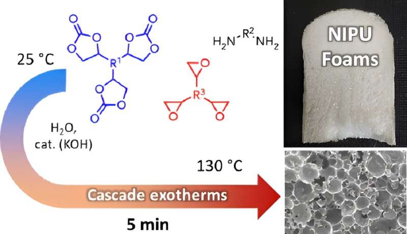 Rapid production of isocyanate-free, biobased polyurethane foams at ambient temperature