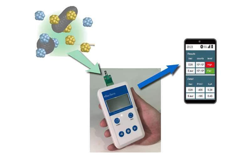 Rapid, simultaneous detection of multiple bacteria achieved with handheld sensor