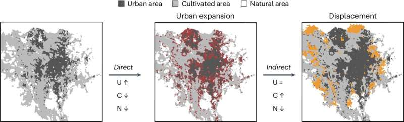Rapid urbanization in Africa transforms local food systems and threatens biodiversity