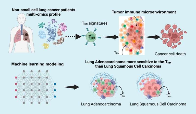 Un estudio reciente revela el papel de las células inmunes clave como factores críticos en el diagnóstico del cáncer de pulmón