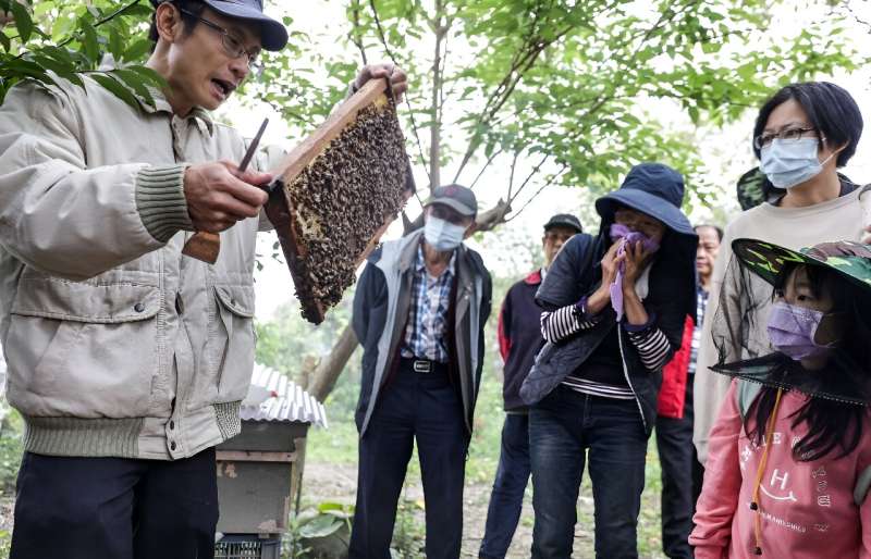 La apicultura recreativa en Taiwán ha crecido de manera constante durante la última década