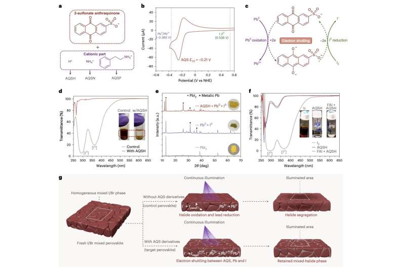 Reducing halide segregation in wide-bandgap mixed-halide perovskite solar cells  using redox mediators