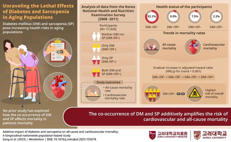 Research from the Korea University College of Medicine explores the combined health impact of diabetes and sarcopenia in the elderly