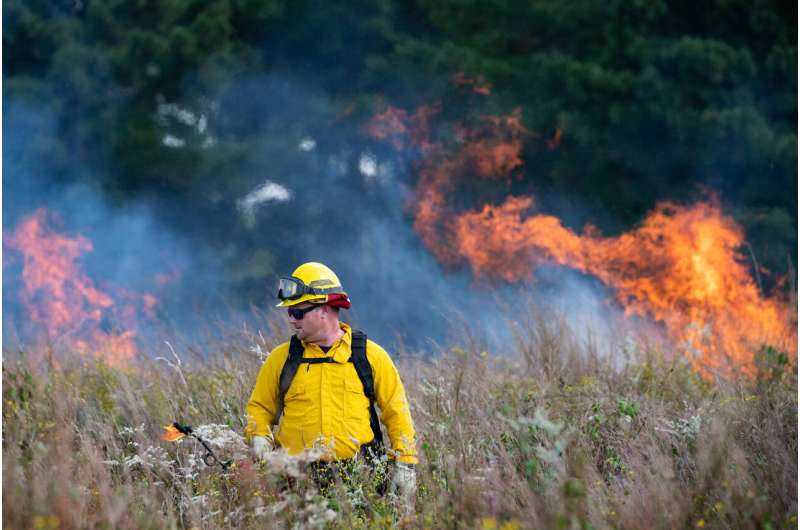 Research says high energy fire influences prescribed burn effectiveness