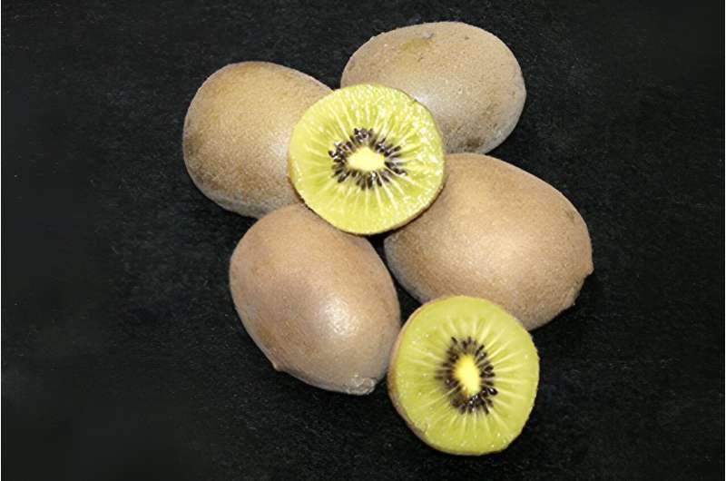 Research team develops cold-hardiness kiwi fruit for immediate release to public