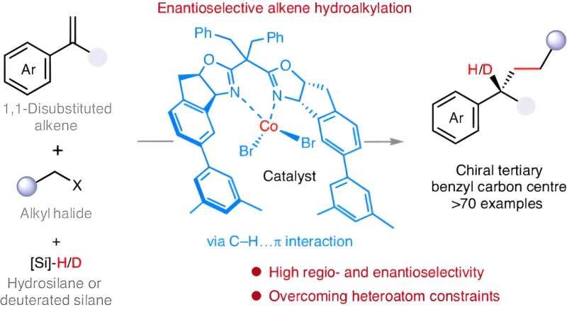 Research team overcomes heteroatom constraints via cobalt catalysis