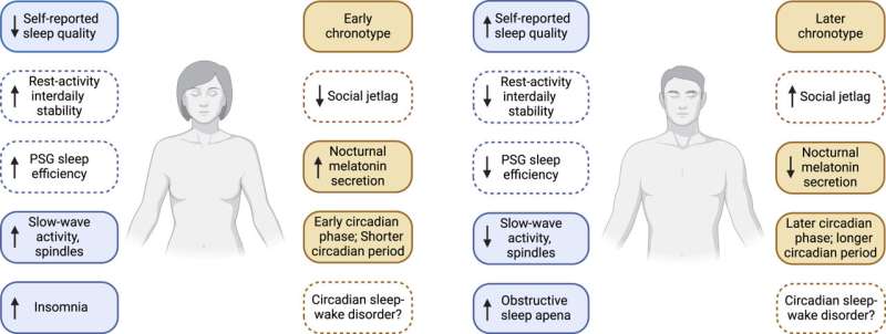 Research uncovers differences between the sexes in sleep, circadian rhythms and metabolism