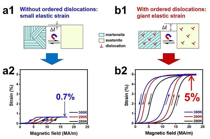 Researchers achieve 5% magneto-superelastic strain in Ni34Co8Cu8Mn36Ga14 single crystal