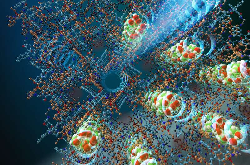 Researchers achieve dual-functional supramolecular materials