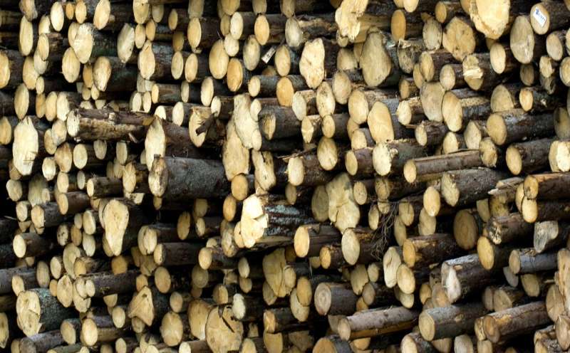 Researchers can reveal illegal timber exports