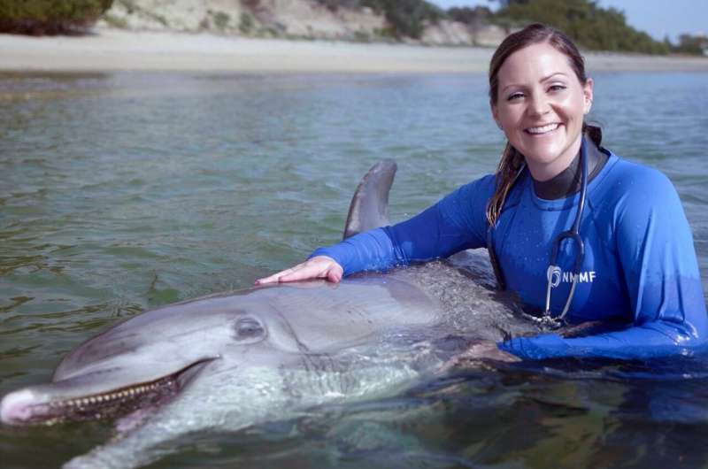 Researchers carry out first peer-reviewed study of fecal microbiota transplants in dolphins