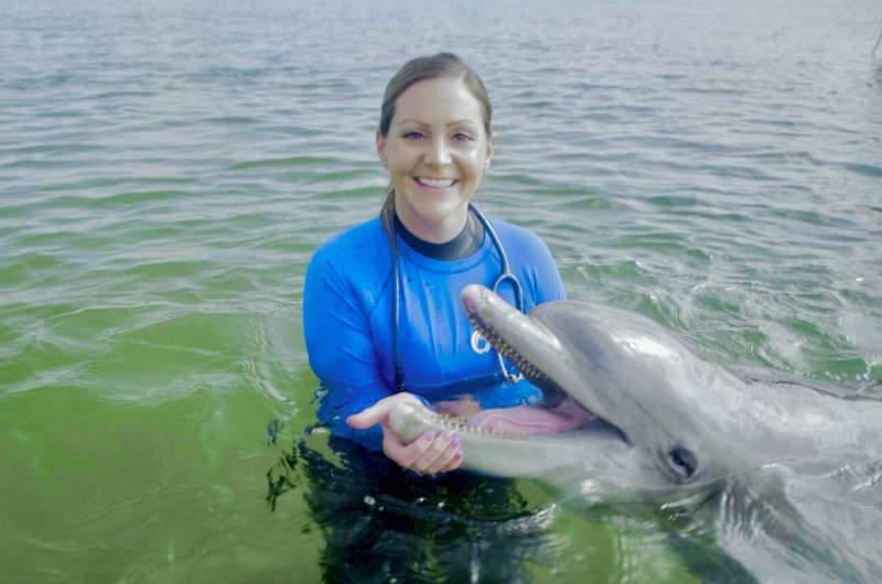Researchers carry out first peer-reviewed study of fecal microbiota transplants in dolphins