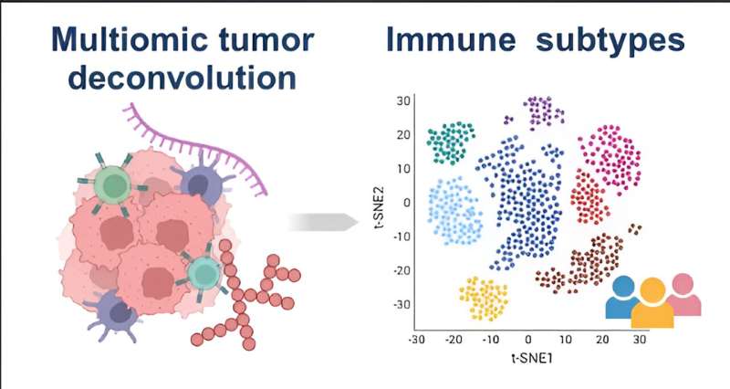 Researchers characterize the immune landscape in cancer