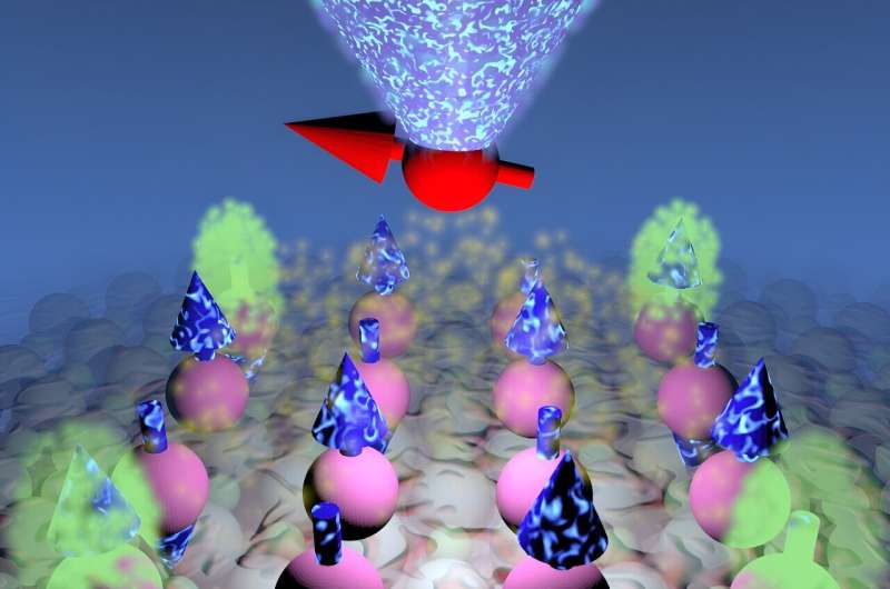 Researchers create entangled quantum magnets with protected quantum excitations