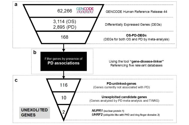 Researchers develop analytical pipeline to identify unexploited genes that hold research value