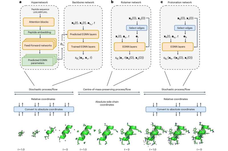 Researchers develop deep-learning model that outperforms Google AI system to predict peptide structures