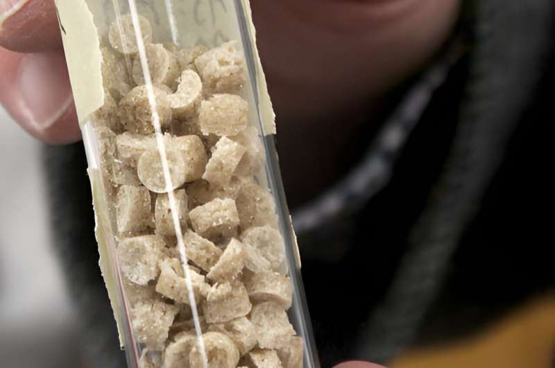 Researchers develop eggshell 'bioplastic' pellet as sustainable alternative to plastic