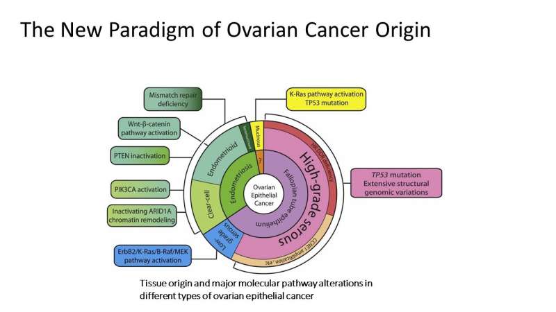 Researchers develop test to ID aggressive ovarian cancers early