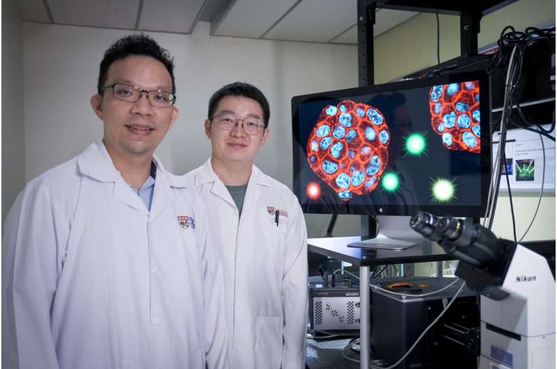 Onderzoekers ontwikkelen kleine druppeltjes die laserlicht gebruiken om ziektemarkers te detecteren