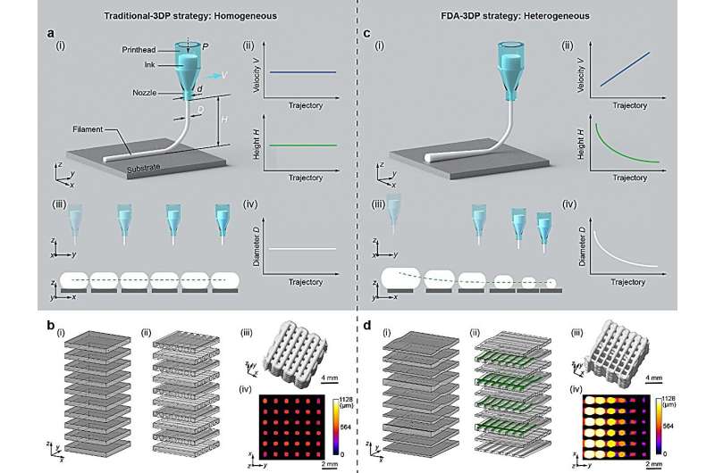 Researchers developed novel 3D printing strategy with controllable gradients porous structures