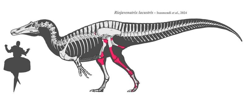 Researchers discover a new species of carnivorous dinosaur in La Rioja