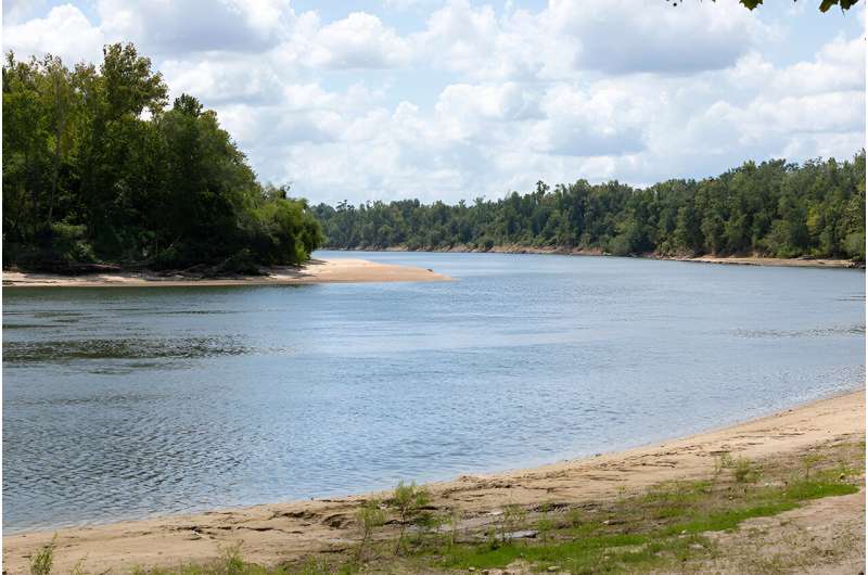 Researchers examine how drought and water volume affect nutrients in Apalachicola river