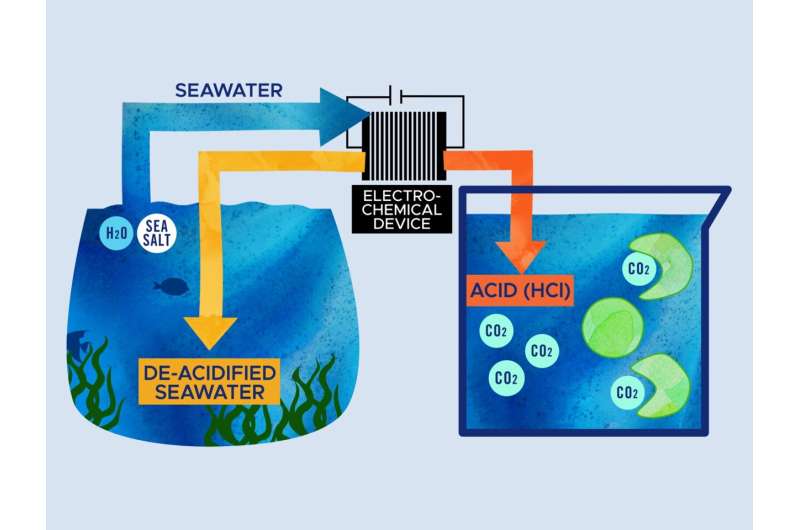 Researchers harvest acid from seawater to feed beneficial algae
