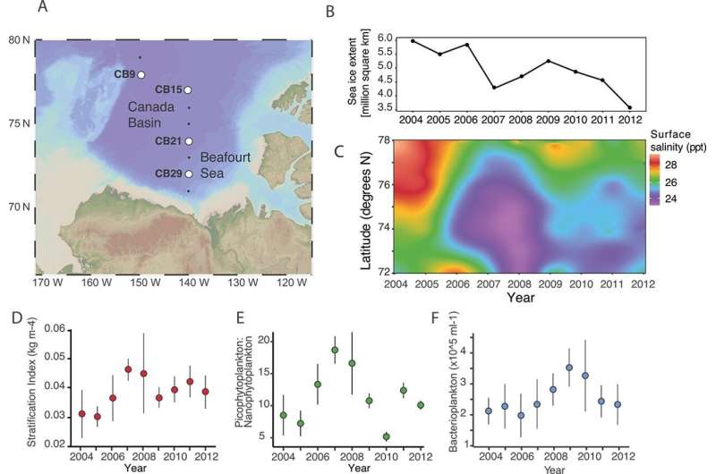 Researchers identify a decline in microbial genetic richness in the western Arctic Ocean