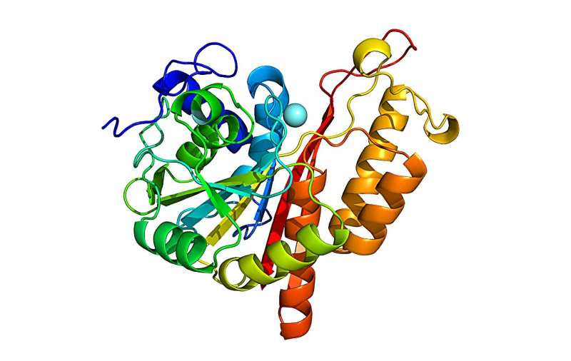 I ricercatori identificano un nuovo potenziale bersaglio per uccidere le cellule tumorali