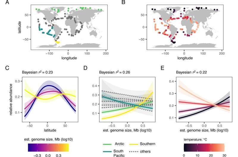 Researchers make breakthrough in understanding species abundance