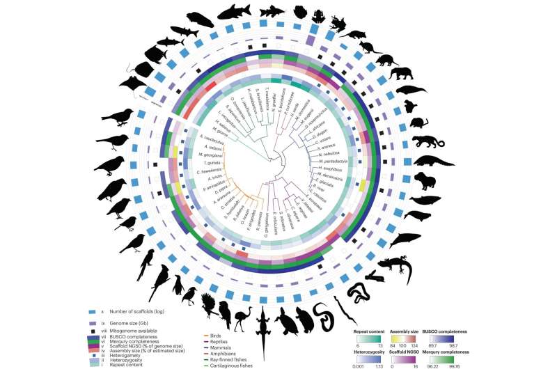 Researchers map genome for cats, dolphins, birds, and dozens of other animals