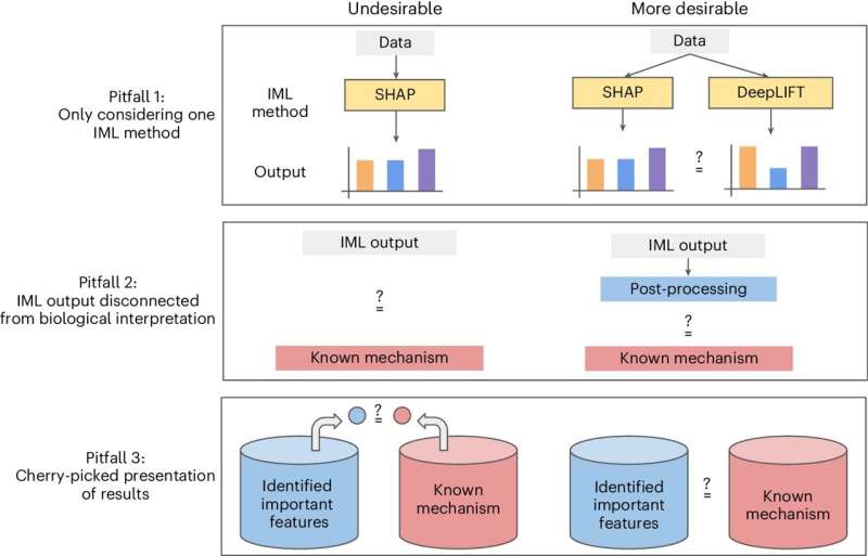 Researchers outline promises, challenges of understanding AI for biological discovery