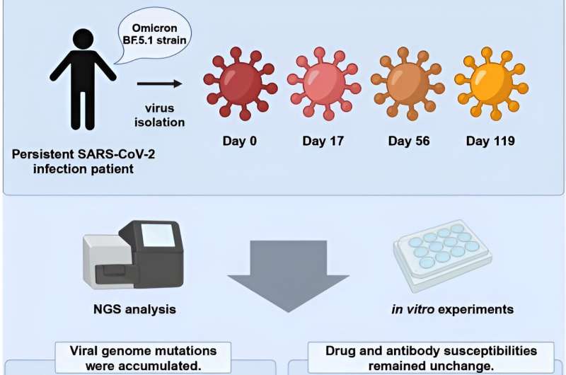 Researchers predict real-world SARS-CoV-2 evolution by monitoring mutations of viral isolates