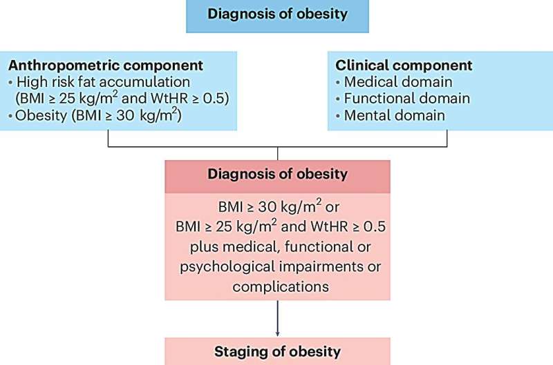 Researchers propose new framework for diagnosing obesity based on body fat distribution, not BMI