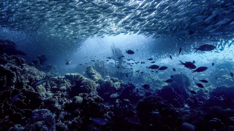Researchers pump brakes on 'blue acceleration' harming oceans