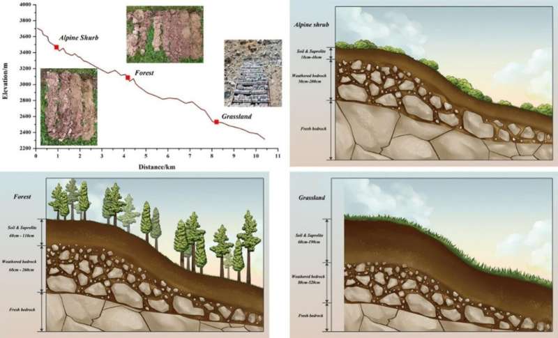 Researchers reveal how water storage in weathered bedrock impacts evapotranspiration and stream runoff