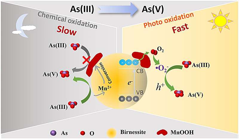 Researchers reveal oxidation of As(III) on birnessite