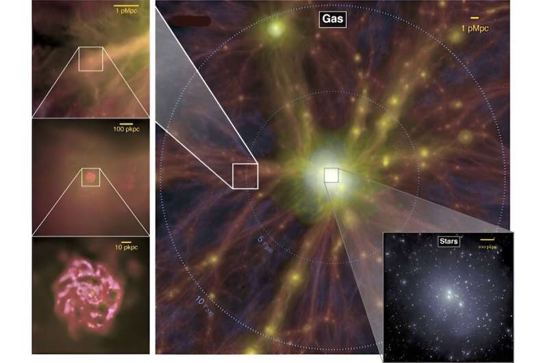 Researchers seek to understand how regions of 'cosmic web' influence behavior of galaxies