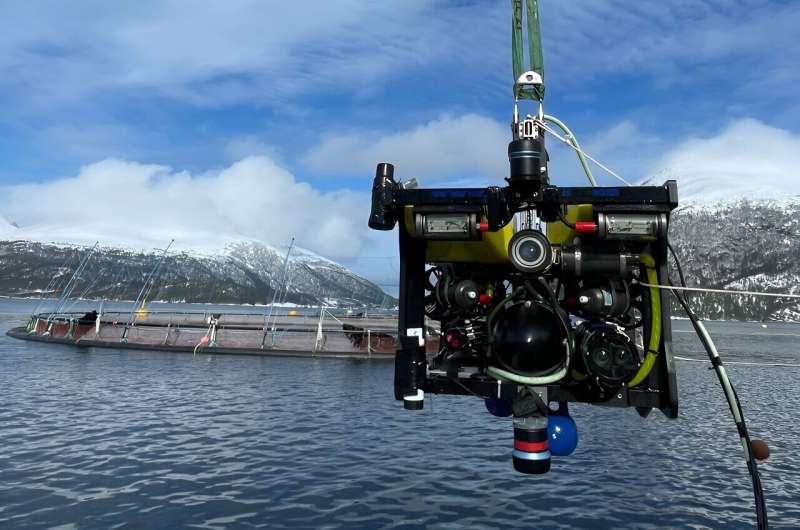 Researchers surprised by penned fish responses to robots