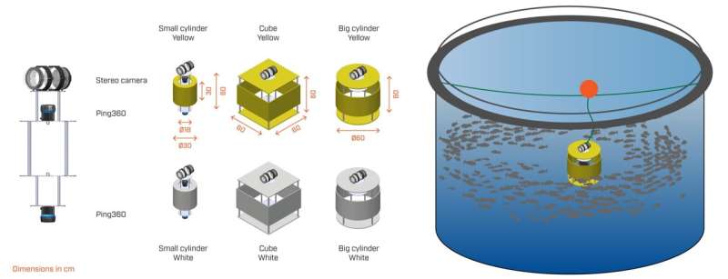 Researchers surprised by penned fish responses to robots