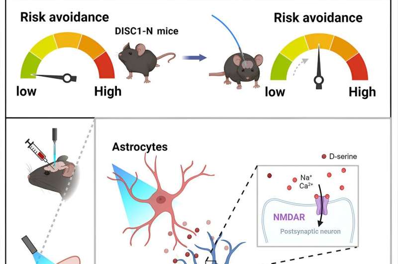 Researchers unveil vital role of astrocytes in mental health